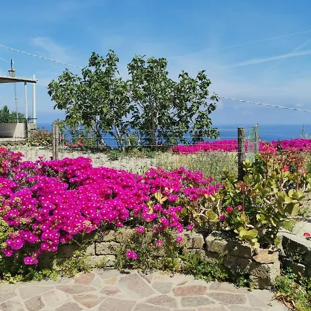 Apartmán Miramare In Collina