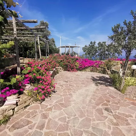 Miramare In Collina Lacco Ameno (Isola d'Ischia)